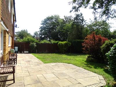 Picture 31
